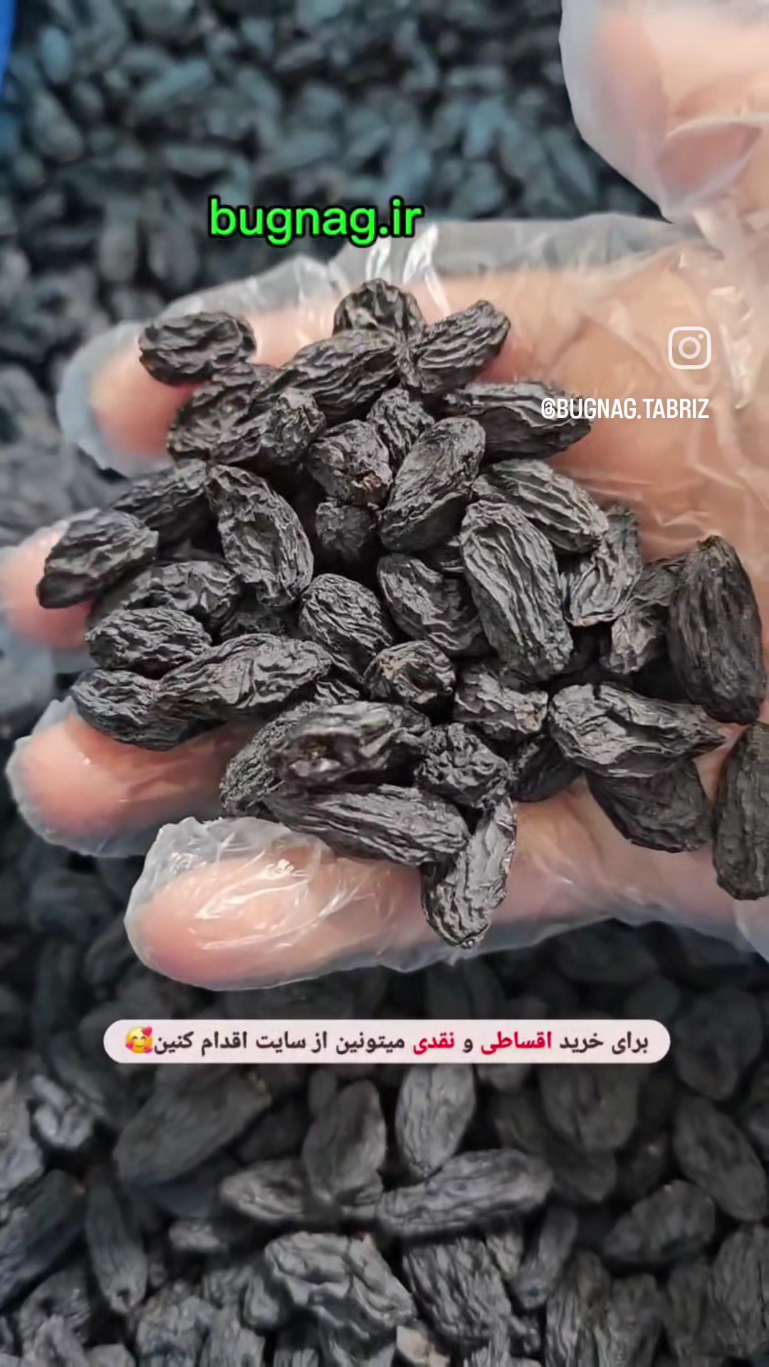 مویز درجه یک ازبکستان