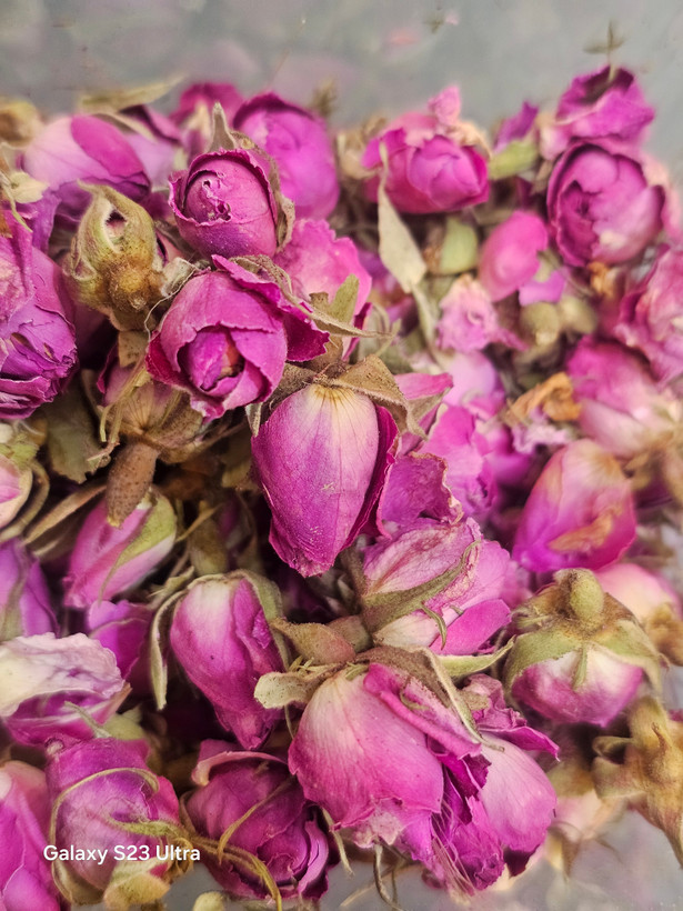 گلسرخ معطر و باکیفیت برای آرامش اعصاب